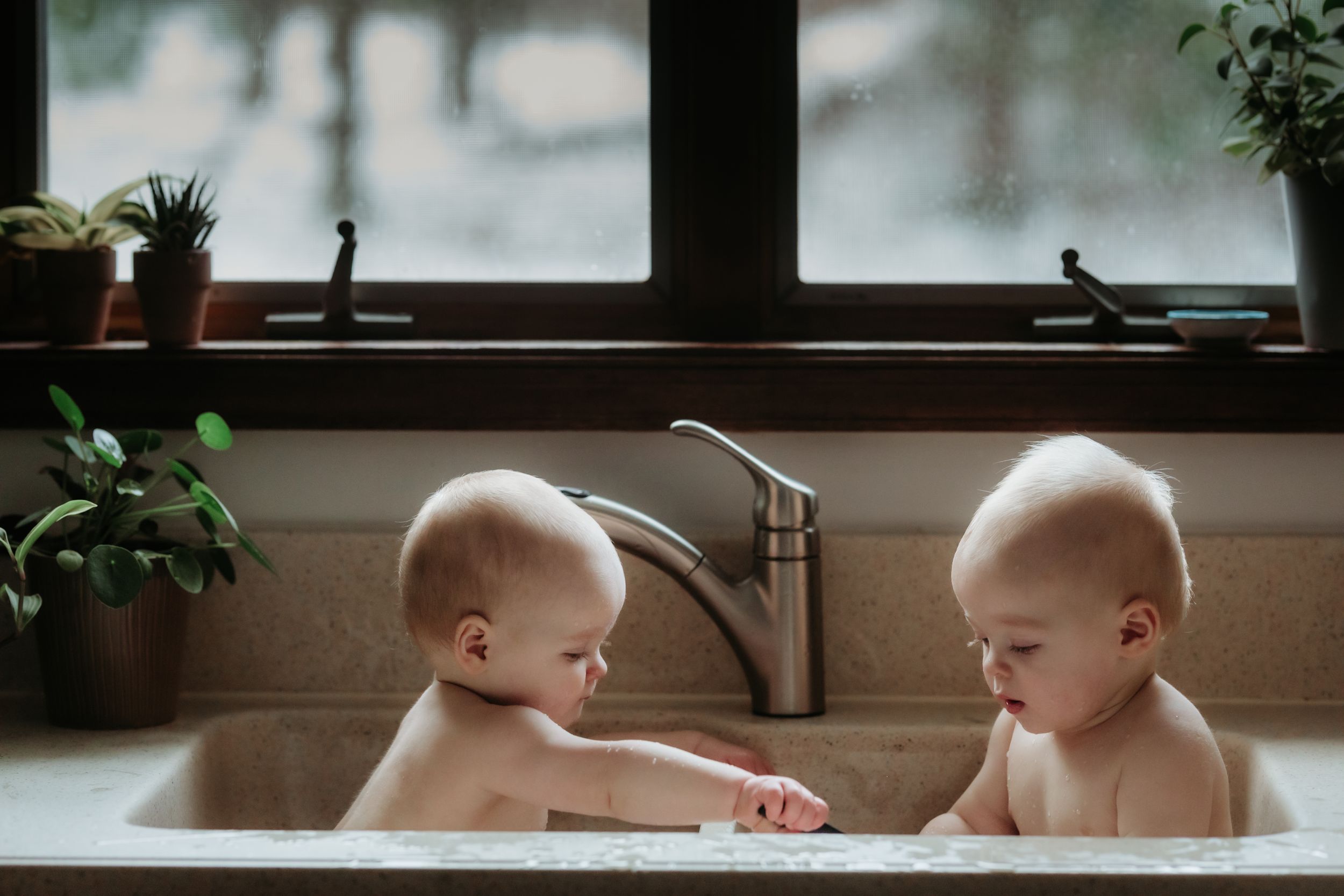 Two babies playing together in kitchen sink with plants on windowsill.
