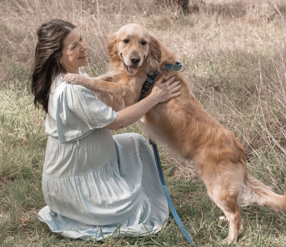 A Golden Retriever greets someone in a white dress while sitting together in a grassy field on a sunny day.