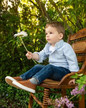 Small child in blue shirt and jeans holding a white daisy flower while sitting on wooden chair in a summer garden.