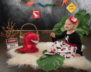 Dinosaur-themed children's photo setup with plush red dinosaur, tropical leaves, and colorful banner decorations.