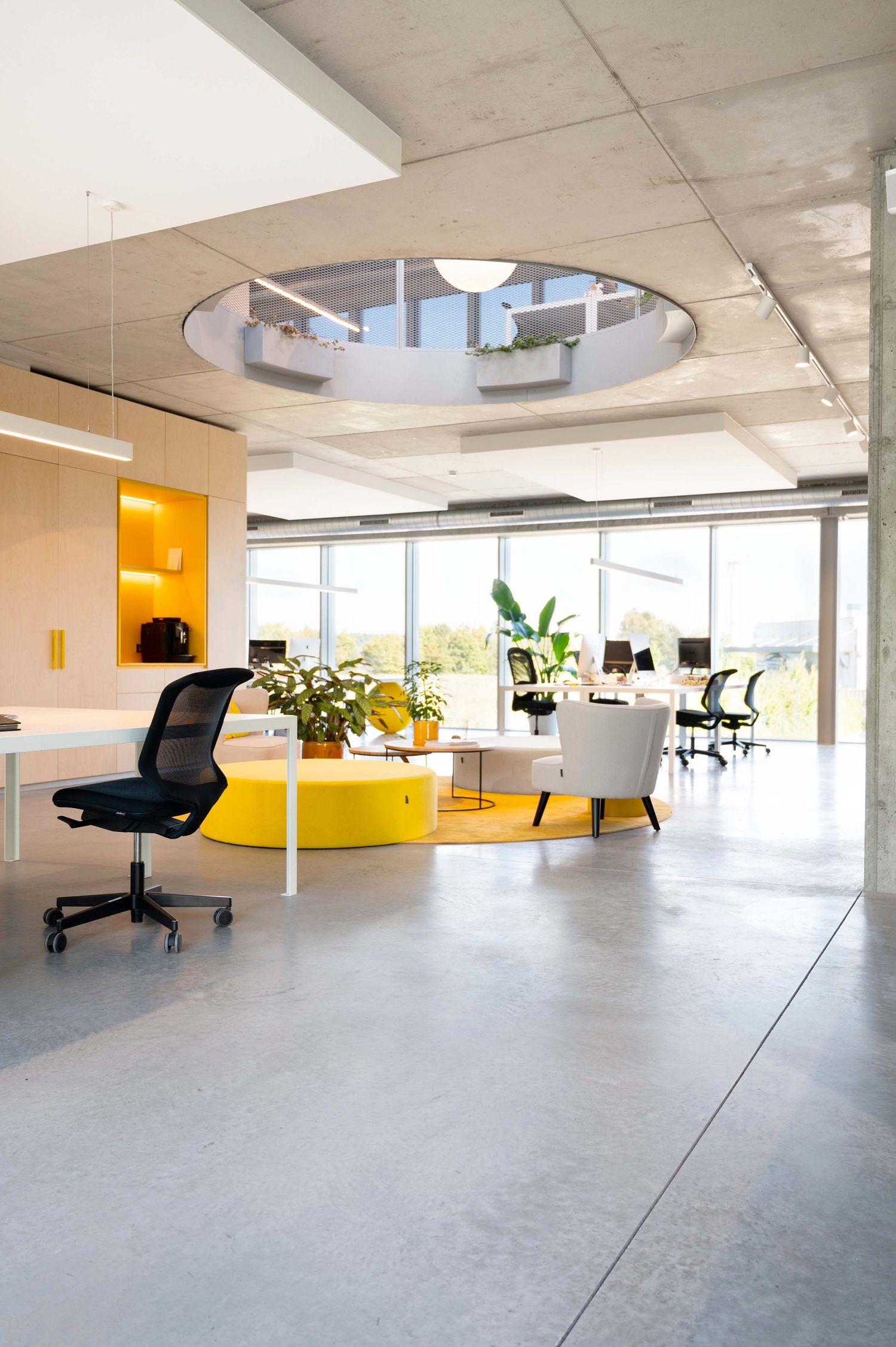 Open concept office space with concrete floors, yellow accents, and abundant natural lighting.