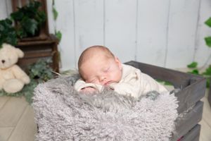 newborn baby in a grey crate laid on tummy on grey fur