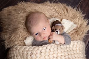 newborn baby in grey holding a teddy