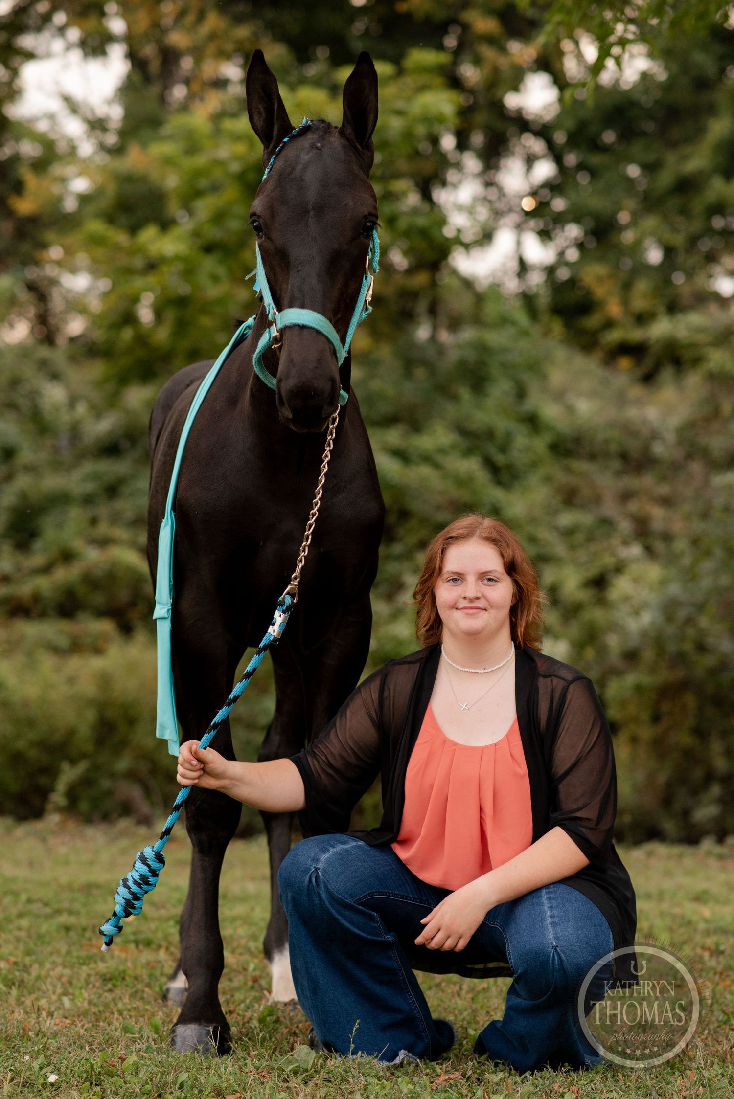 A black horse with turquoise halter stands in an autumn field setting.