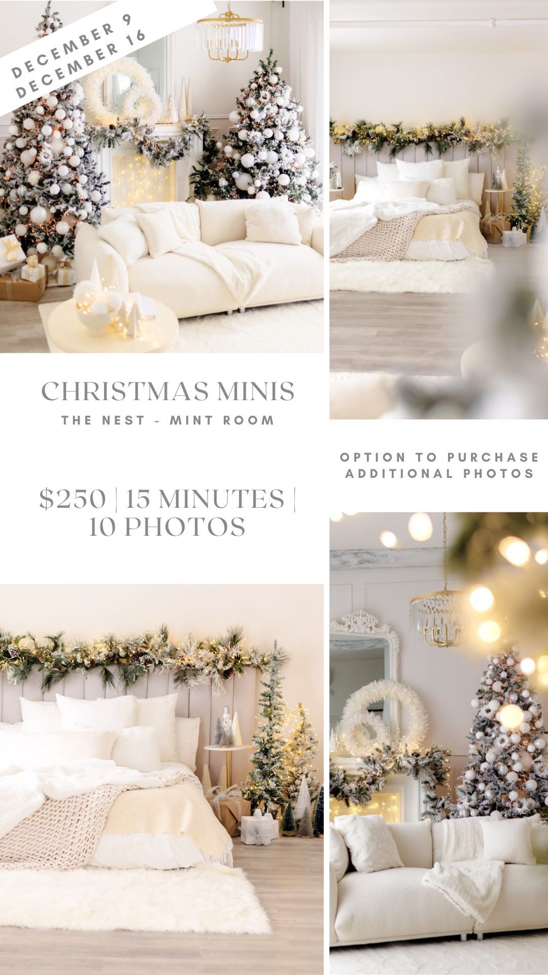 Christmas Mini Photo session in Toronto
