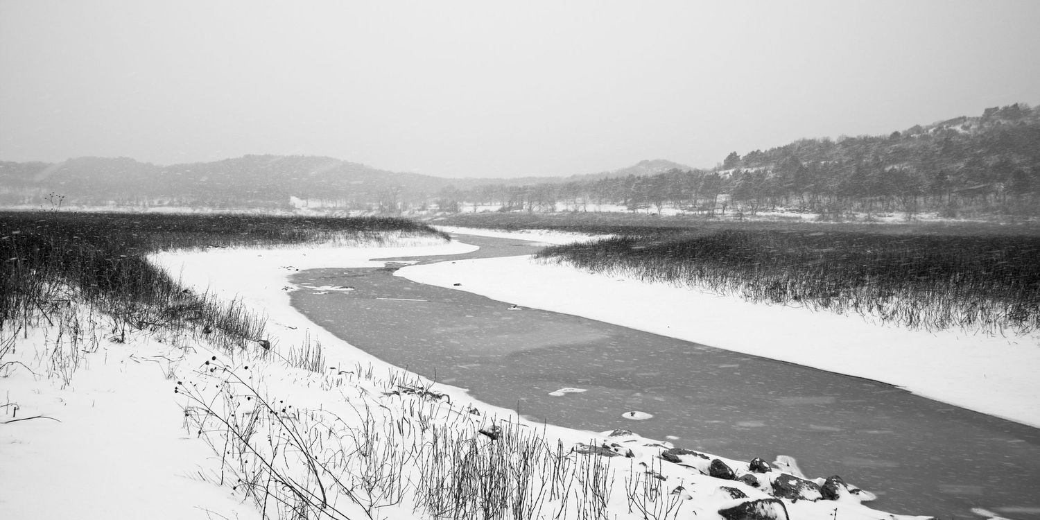 A snowy river landscape curves through winter marshland in monochrome.
