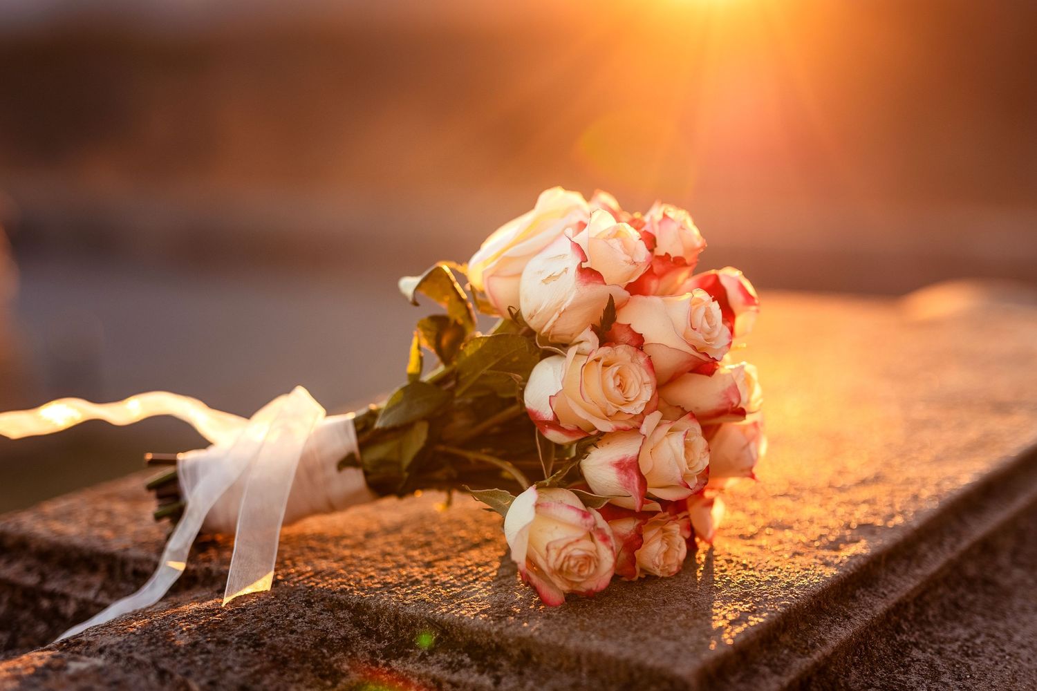A bouquet of pink roses with white ribbon lying on stone surface in golden sunset light.