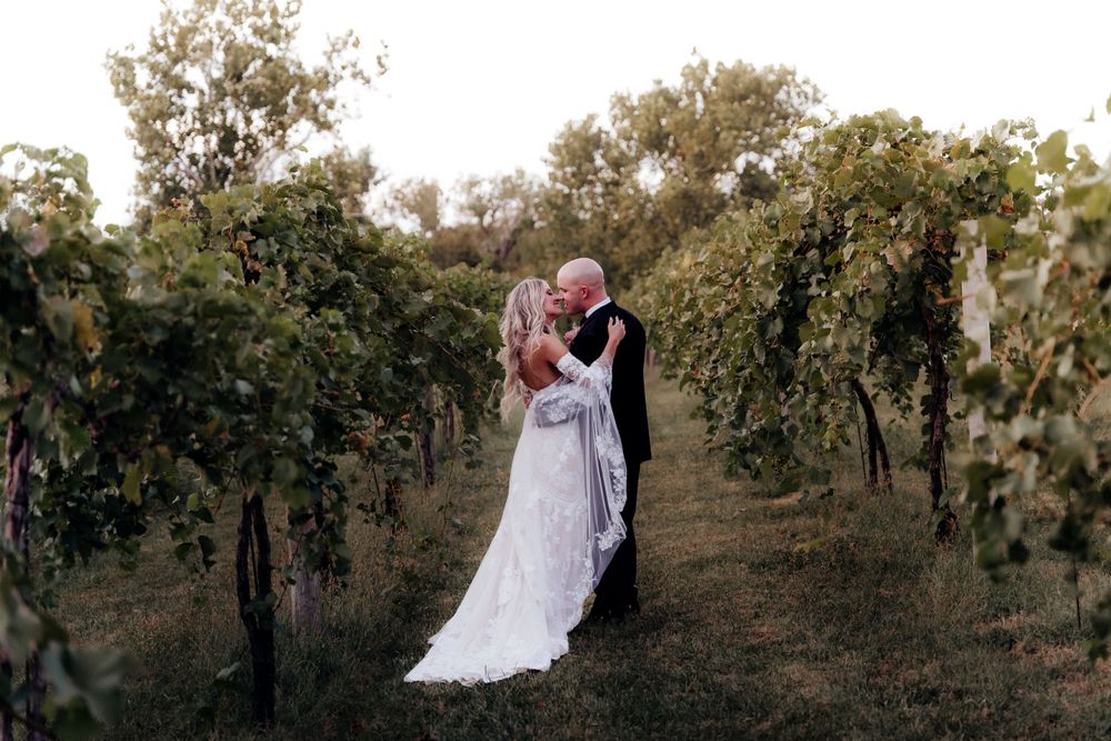 Bride and groom kissing in a vineyard.