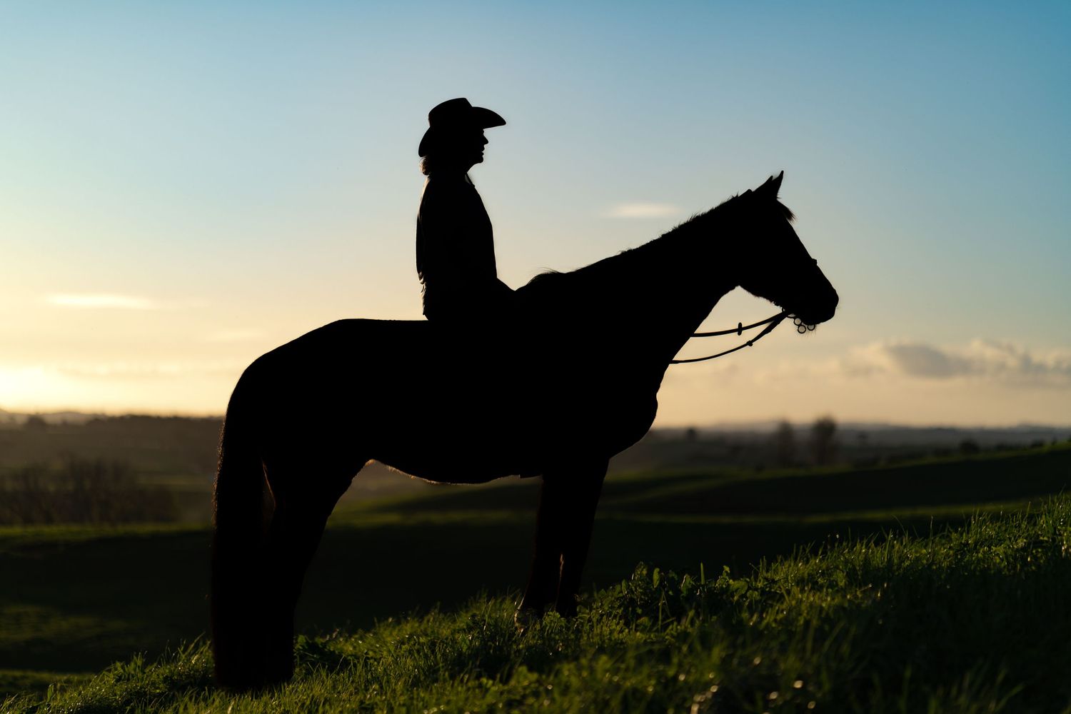 A silhouetted horse rider on a grassy hill during sunset.