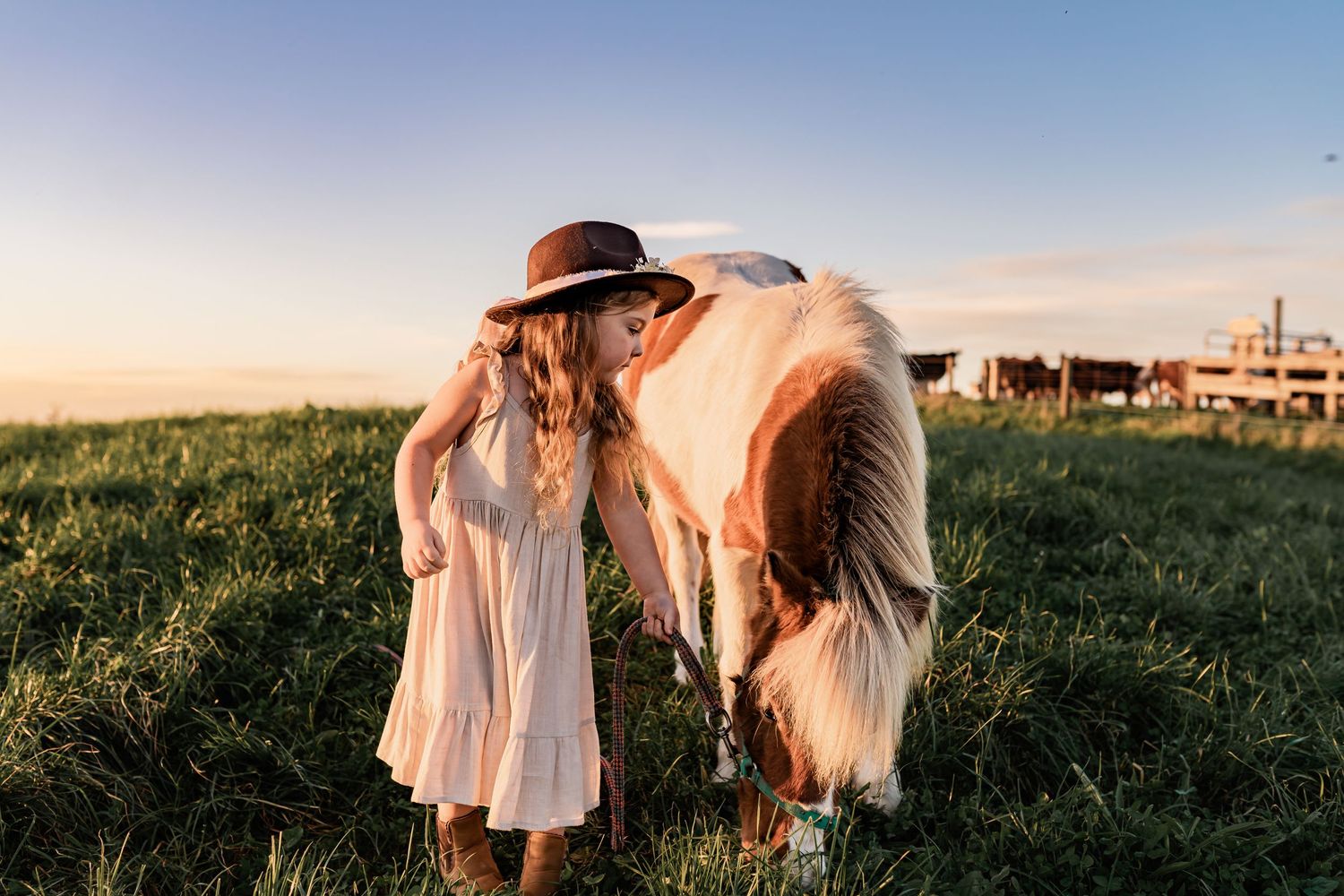 A person in a white dress standing beside a grazing horse in golden sunlit field.
