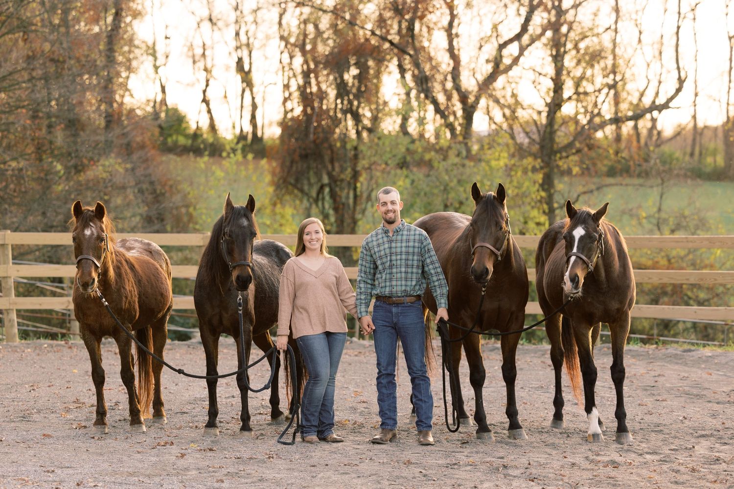Casual portrait with five beautiful horses on a farm at sunset.