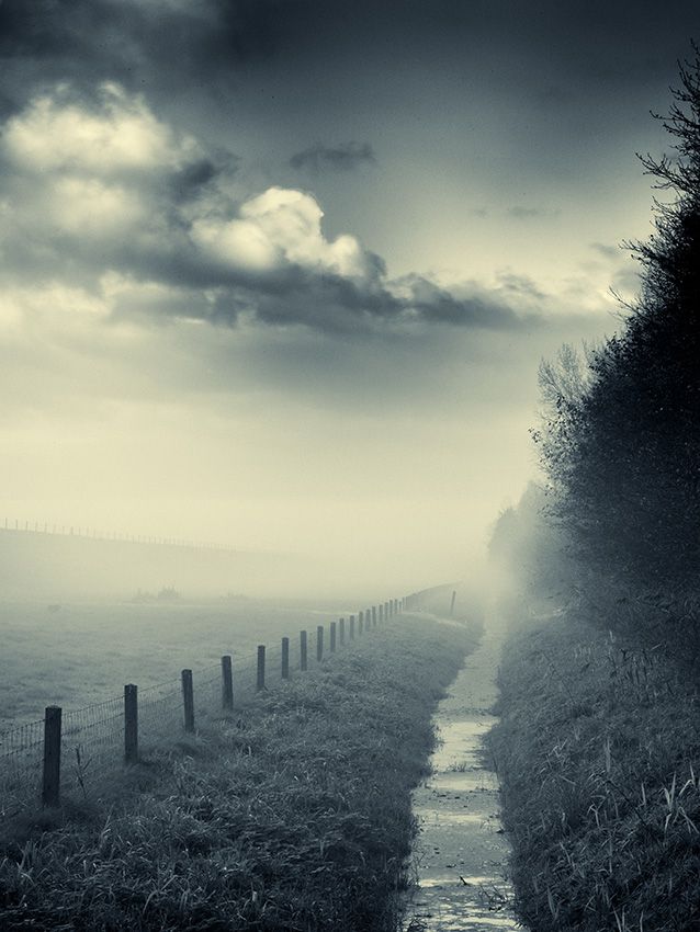 Atmospheric foggy landscape