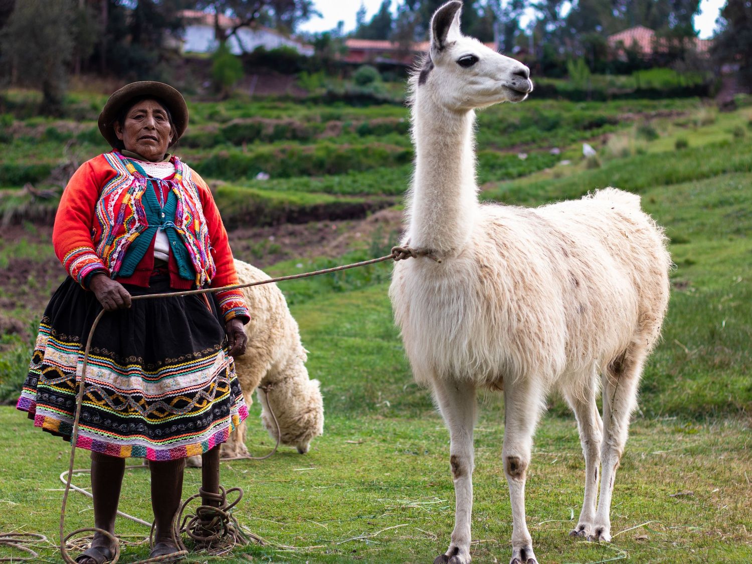 woman with her Llama and Alpaca, Cusco, Peru