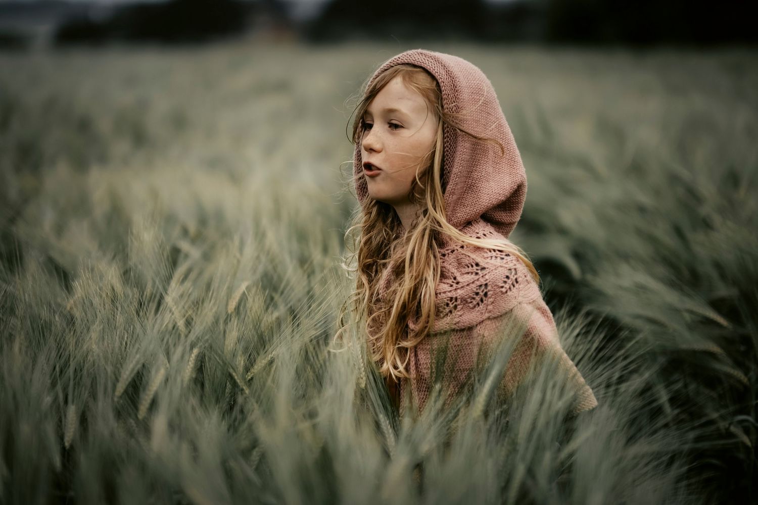 Lille Rødhette fotografi