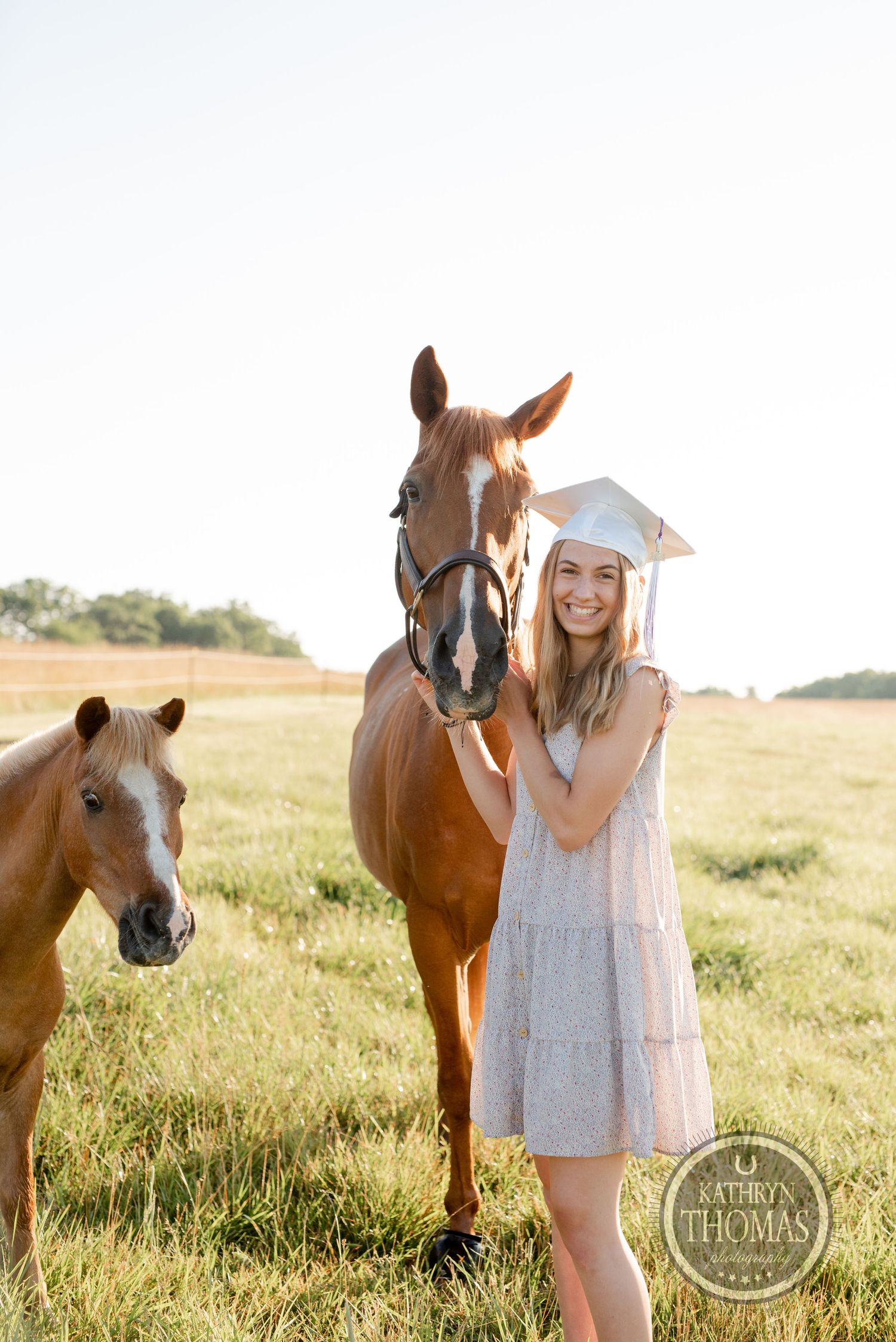 Graduate in cap and dress poses with two horses in a sun-drenched pasture.