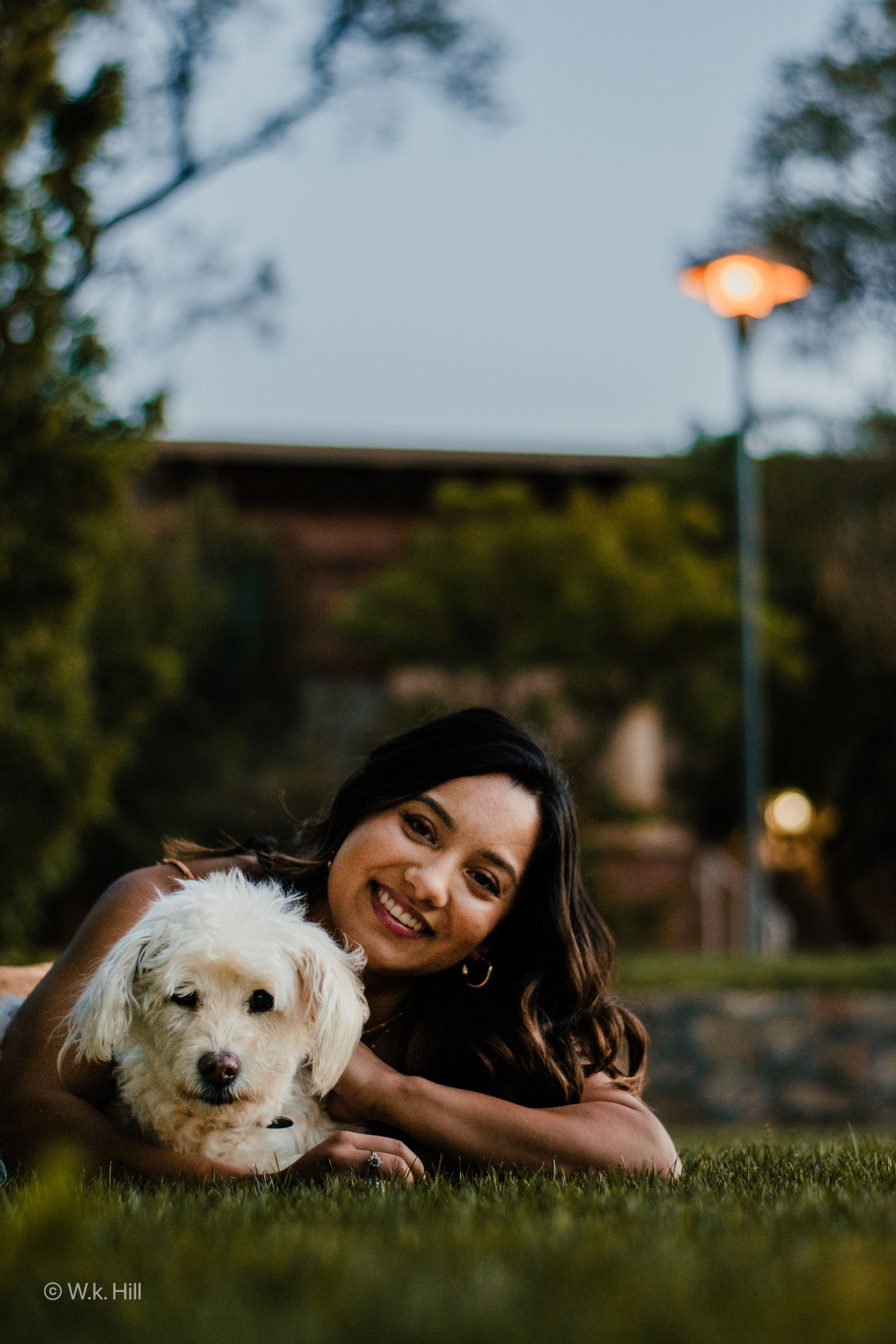 A white fluffy dog and someone lying on grass at sunset with a streetlight glowing in background.
