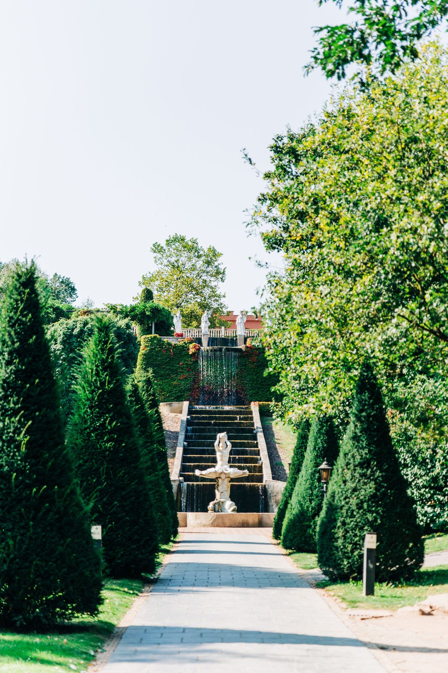 Elegant garden stairway flanked by tall conical evergreen trees leading to a decorative fountain.