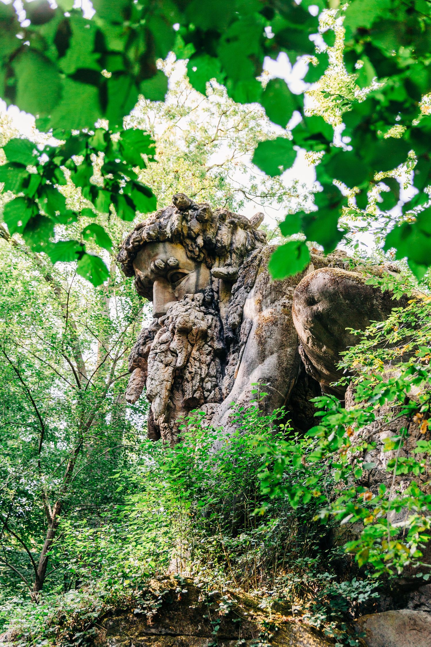 Ancient tree sculpture with face-like features emerging from dense forest foliage.