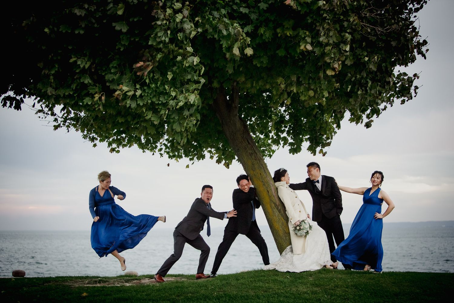 Wedding party poses playfully on oceanside lawn under tree, with bridesmaids in blue dresses.