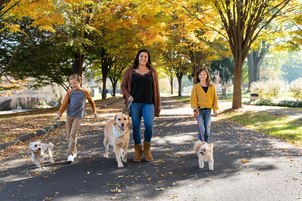 Group walking three dogs on tree-lined path with golden autumn leaves.
