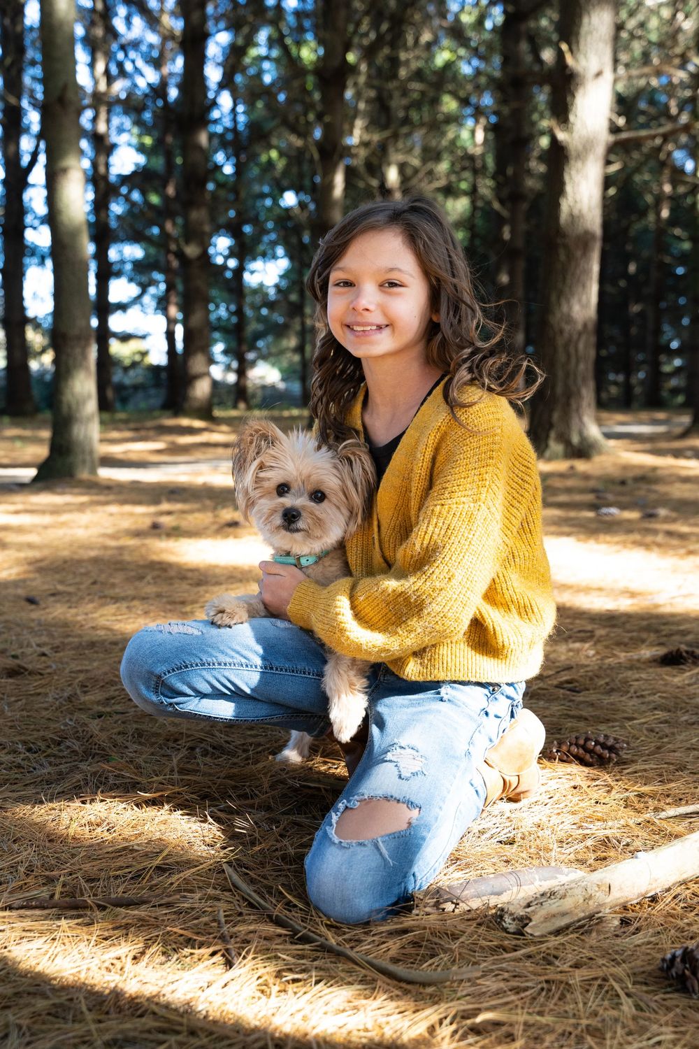 A Yorkshire Terrier puppy being held by someone wearing a yellow sweater and ripped jeans in a pine forest.