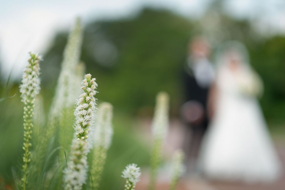 White floral blooms line a garden pathway creating a romantic wedding scene.