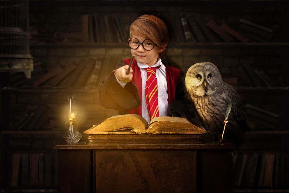 wizard and owl