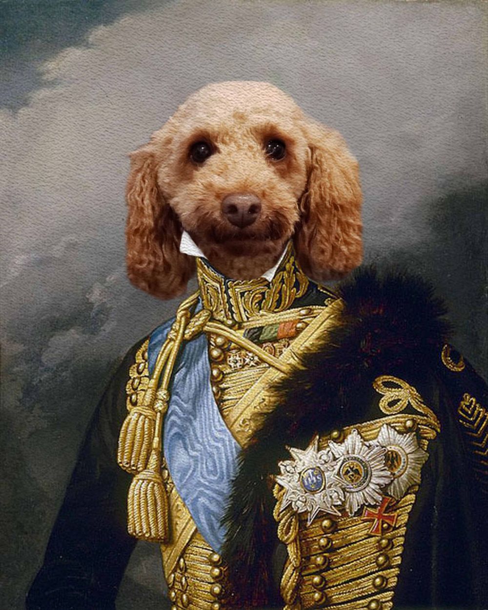 dog general