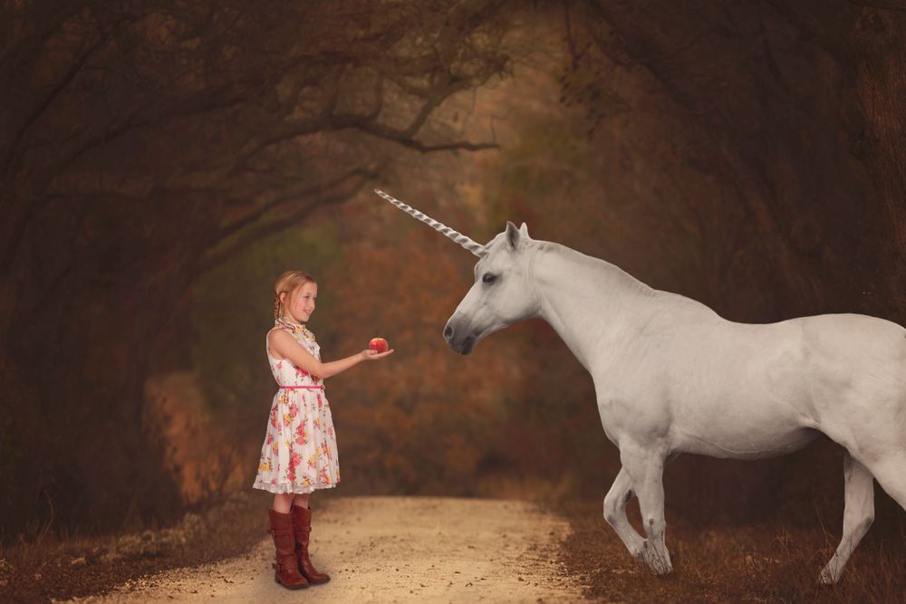 feeding a unicorn