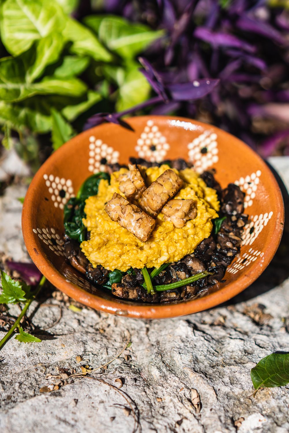 platillo vegano mexicano libre gluten fotografía libre buena rica