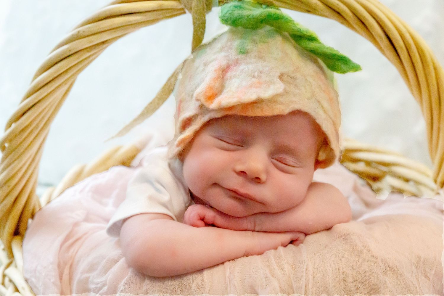 newborn girl in basket