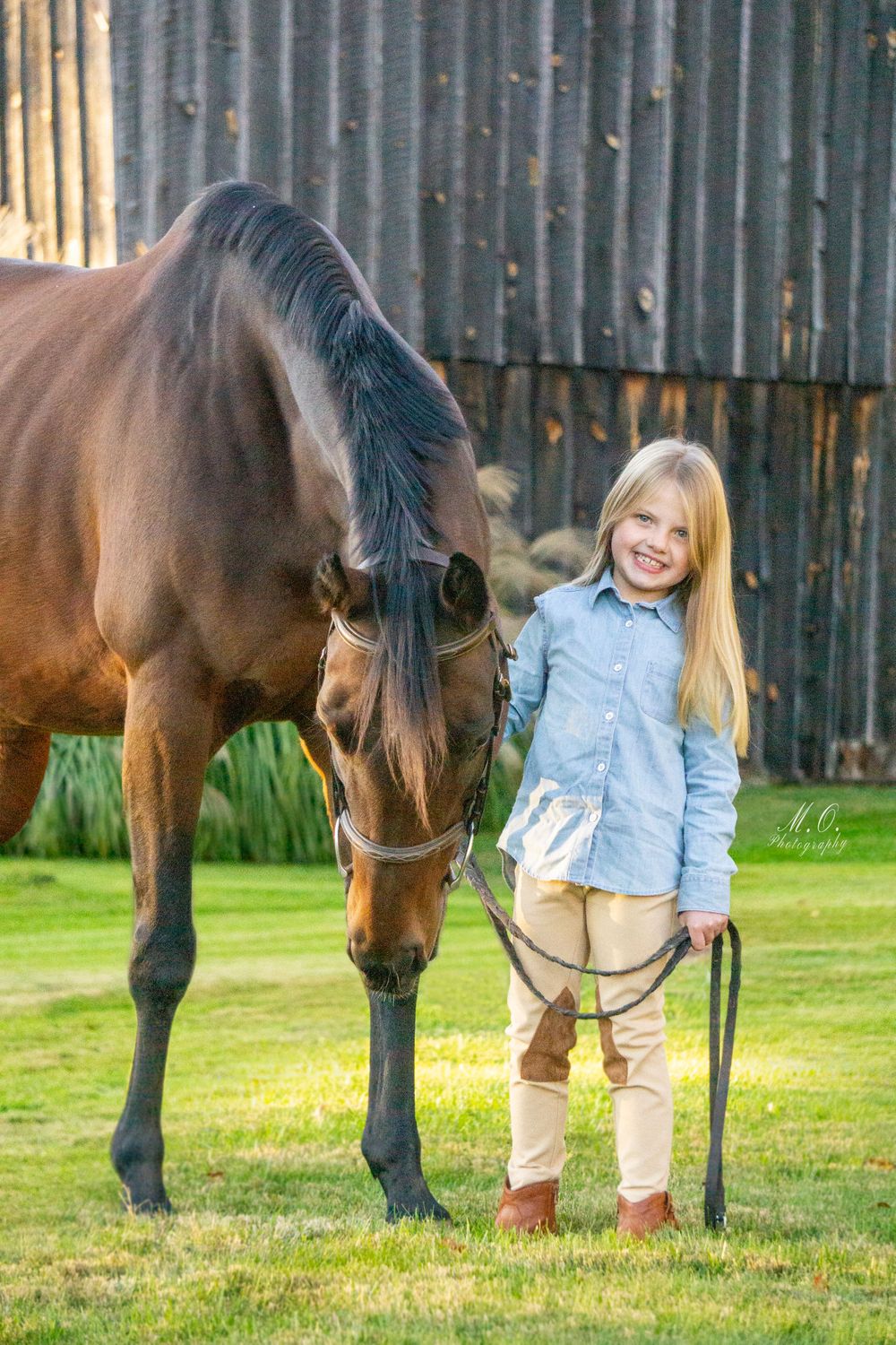 Equine photographer, Lehigh valley, black backgrounds, mo equine photography, horse and rider sessions, pet photography