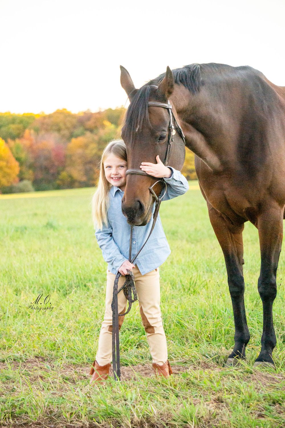 Equine photographer, Lehigh valley, black backgrounds, mo equine photography, horse and rider sessions, pet photography