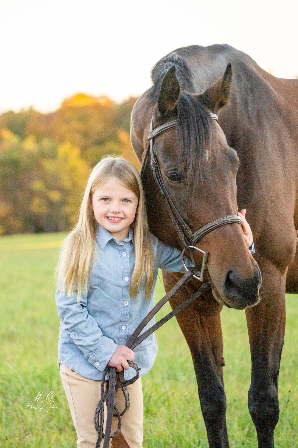 Equine photographer, Lehigh valley, black backgrounds, mo equine photography, horse and rider sessions, pet photography