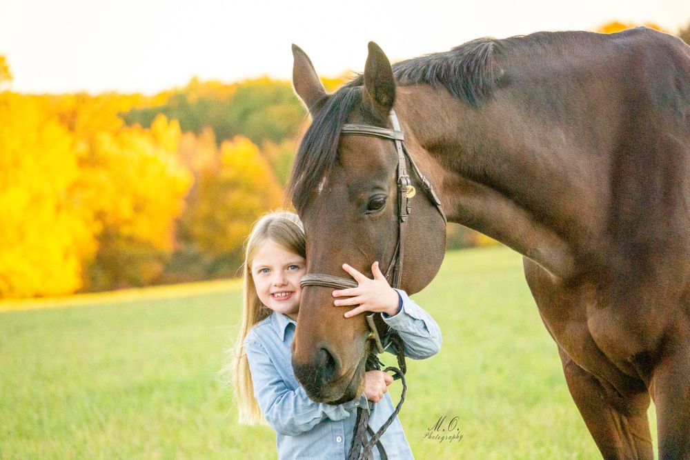 Equine photographer, Lehigh valley, black backgrounds, mo equine photography, horse and rider sessions, pet photography