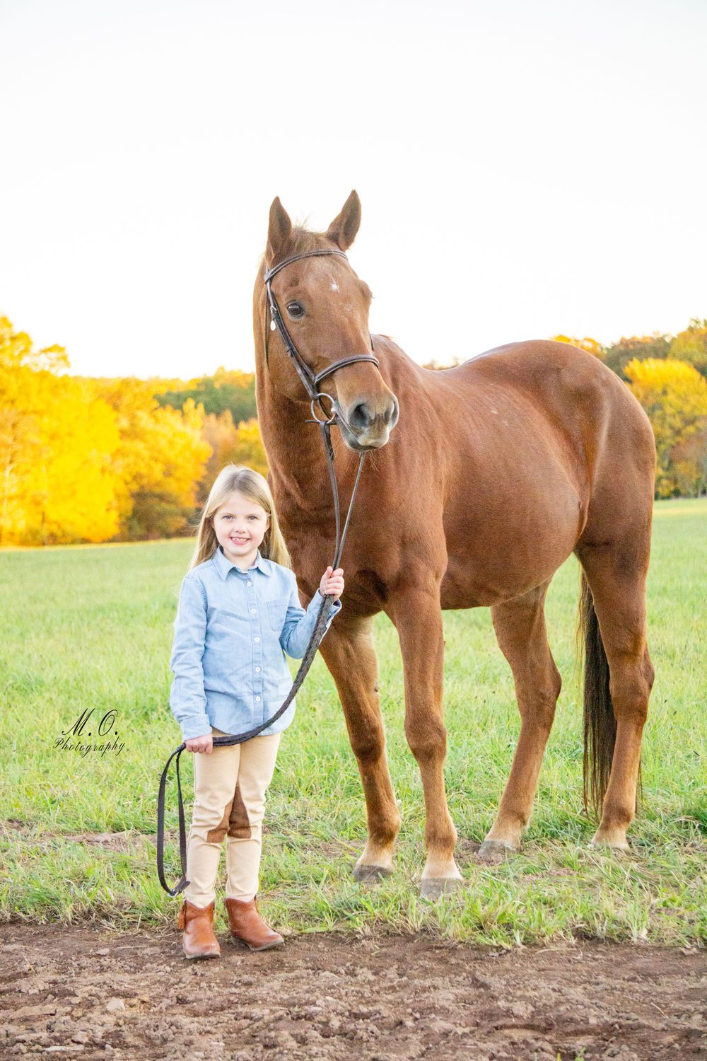 Equine photographer, Lehigh valley, black backgrounds, mo equine photography, horse and rider sessions, pet photography