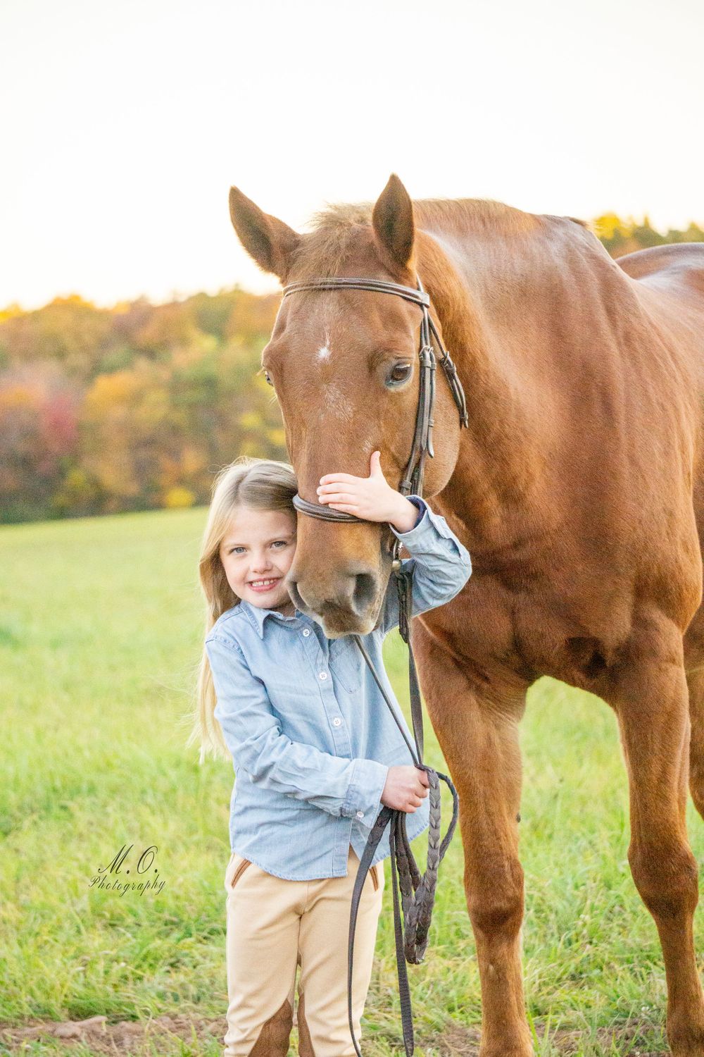 Equine photographer, Lehigh valley, black backgrounds, mo equine photography, horse and rider sessions, pet photography