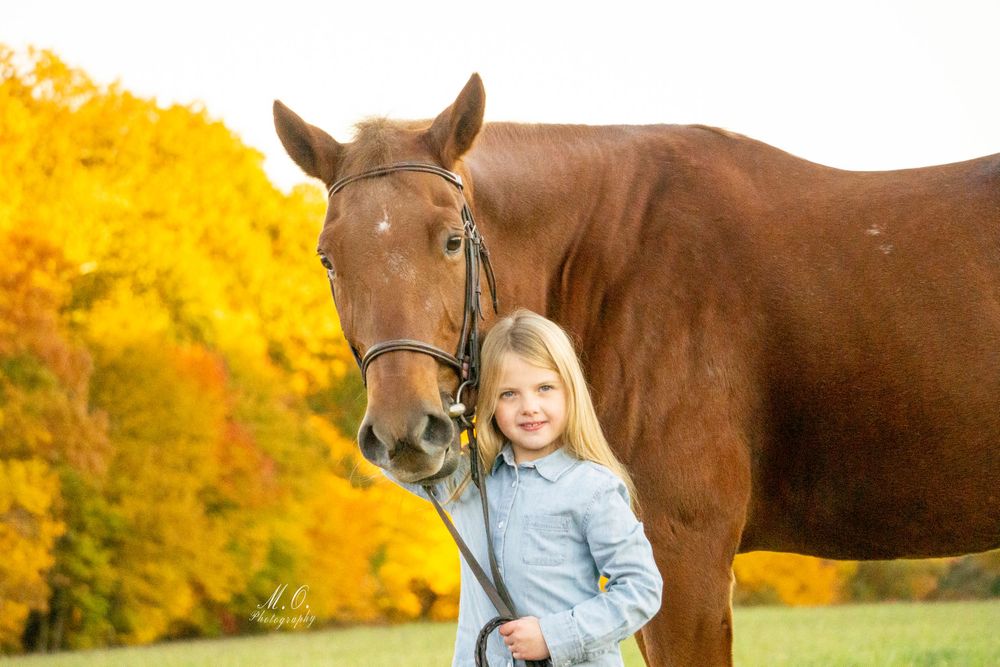Equine photographer, Lehigh valley, black backgrounds, mo equine photography, horse and rider sessions, pet photography