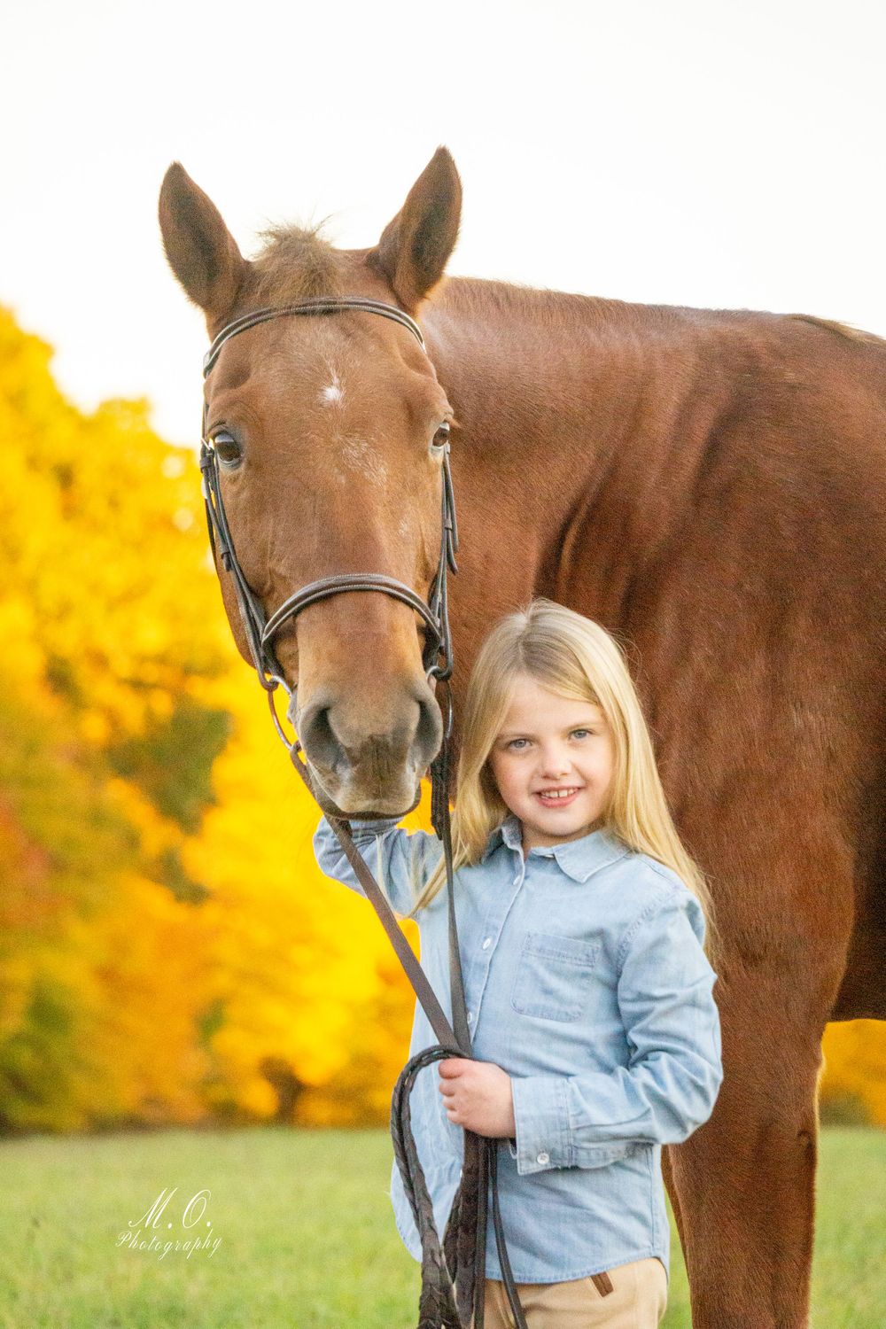 Equine photographer, Lehigh valley, black backgrounds, mo equine photography, horse and rider sessions, pet photography