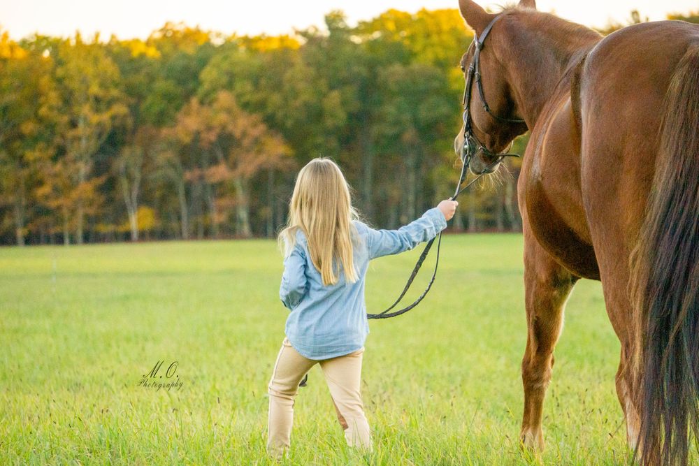 Equine photographer, Lehigh valley, black backgrounds, mo equine photography, horse and rider sessions, pet photography