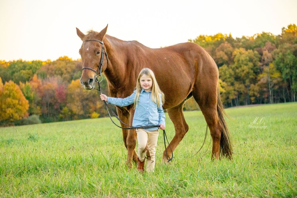 Equine photographer, Lehigh valley, black backgrounds, mo equine photography, horse and rider sessions, pet photography