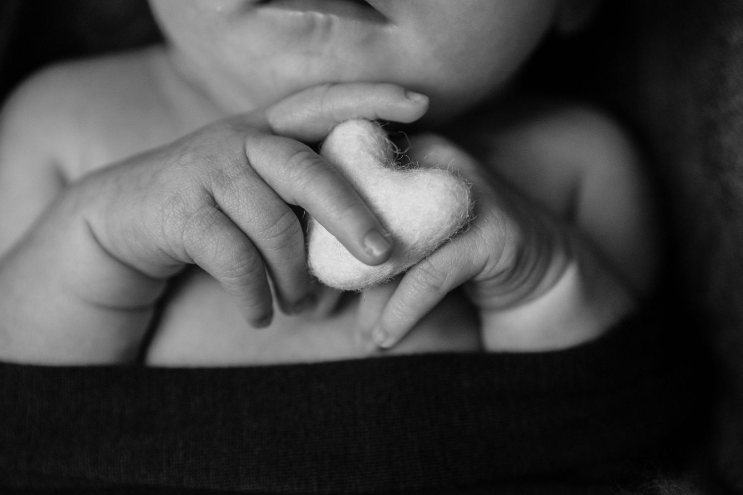 Close-up black and white image of tiny baby hands clasped together.