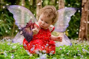 Whimsical fairy garden scene with butterfly wings and scattered flowers.