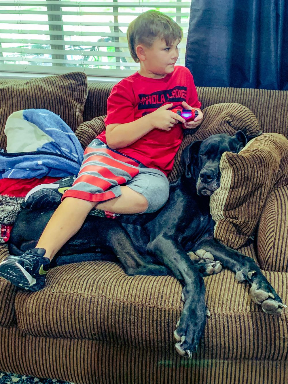 A young person relaxes on a brown couch with a sleeping black dog.