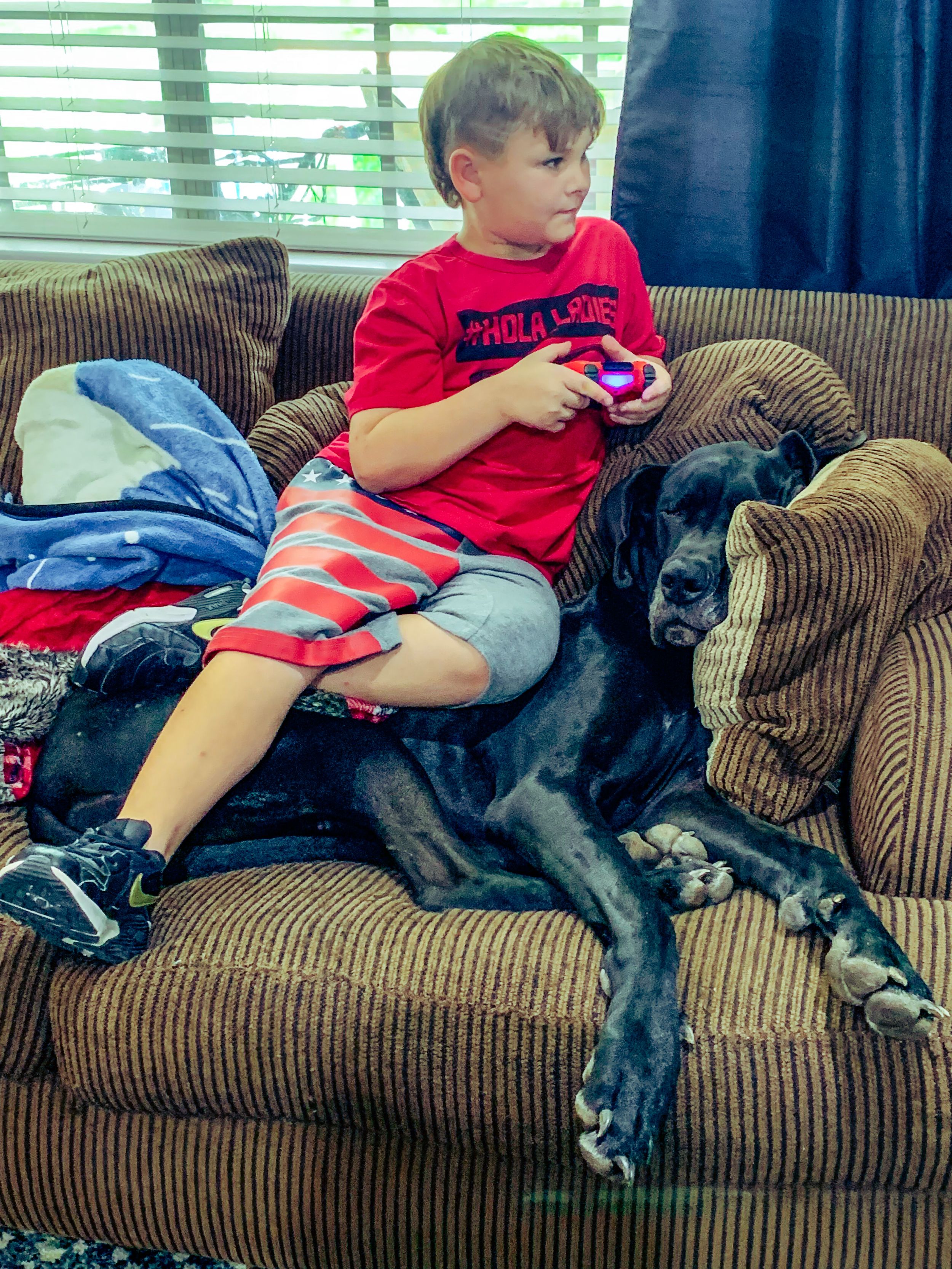 A young person relaxes on a brown couch with a sleeping black dog.