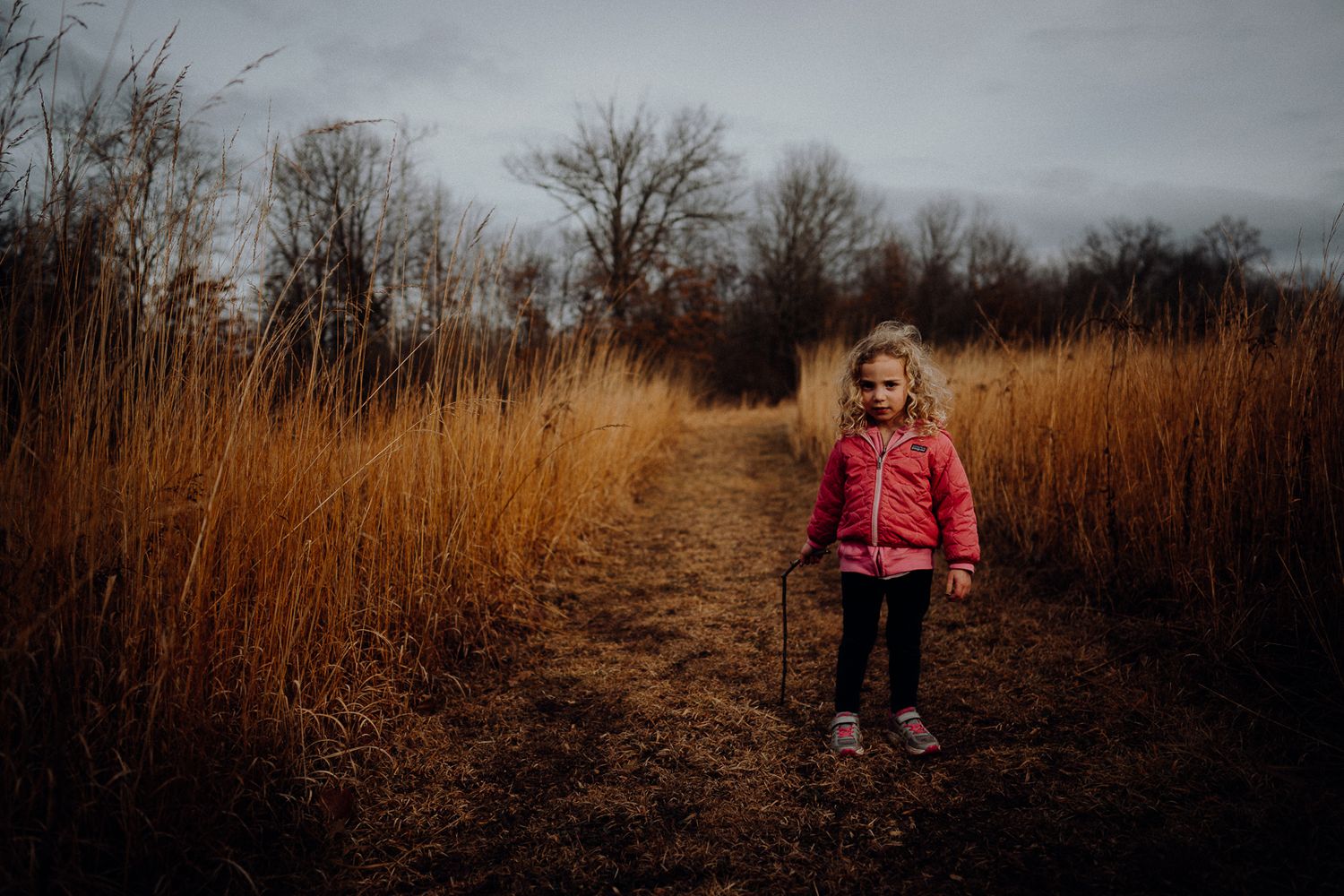 A small figure in a red coat stands on a path through tall golden grass under moody skies.