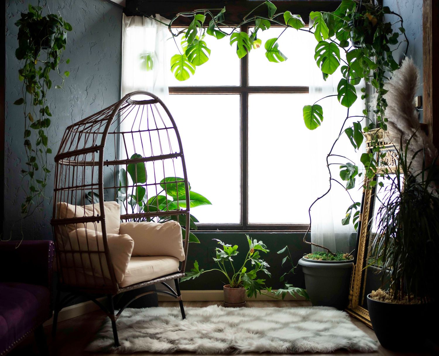 photography set up with an egg chair and plants