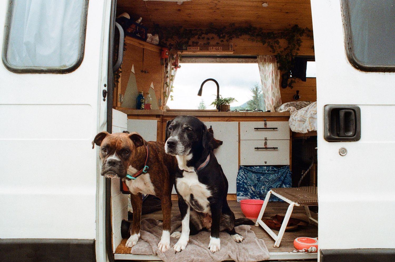 A collage of photos showing an RV camper van interior being renovated into a mobile home.