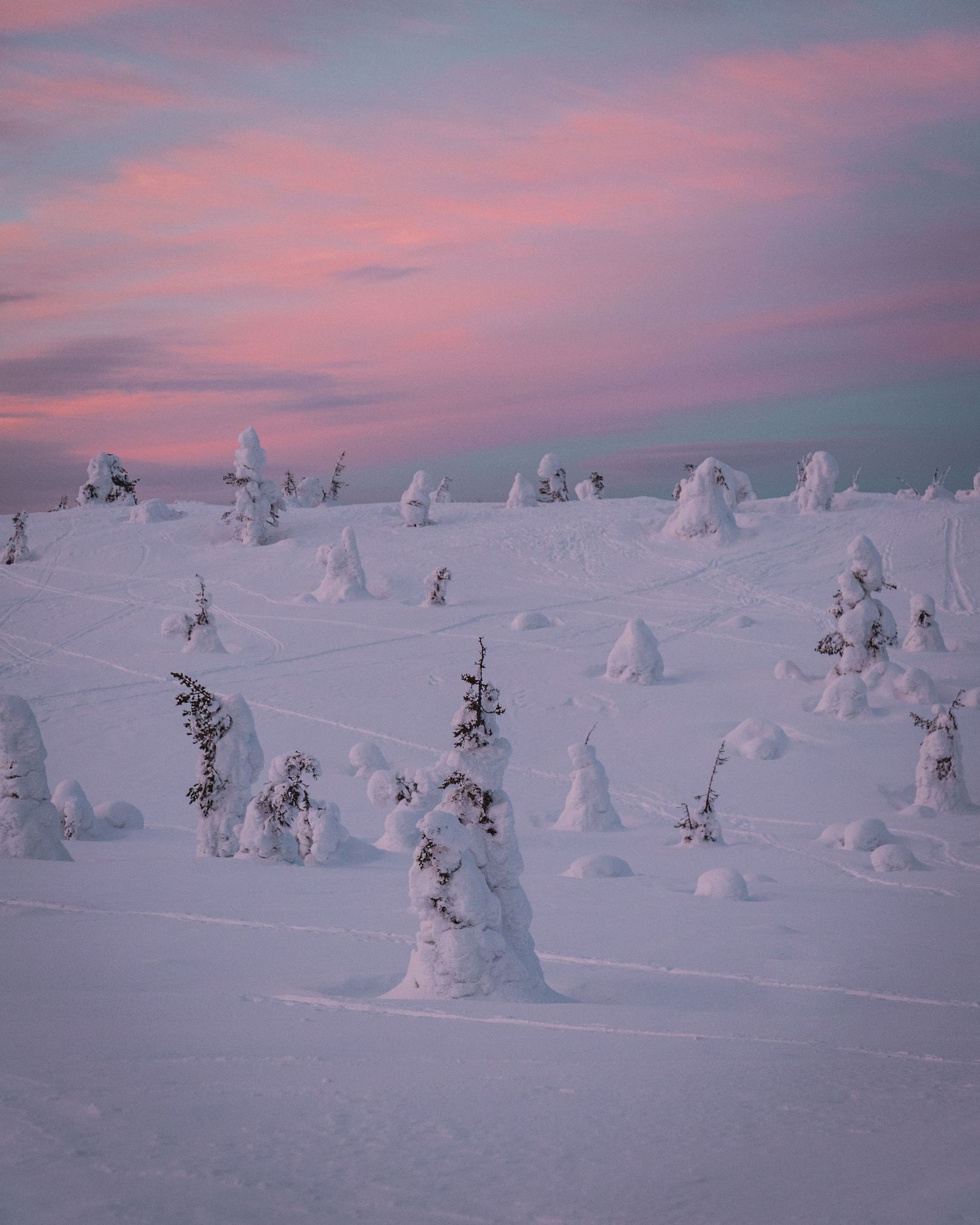 Kuusamo en Finlande, blog voyage et photos par Julie Fox Photography - Laponie