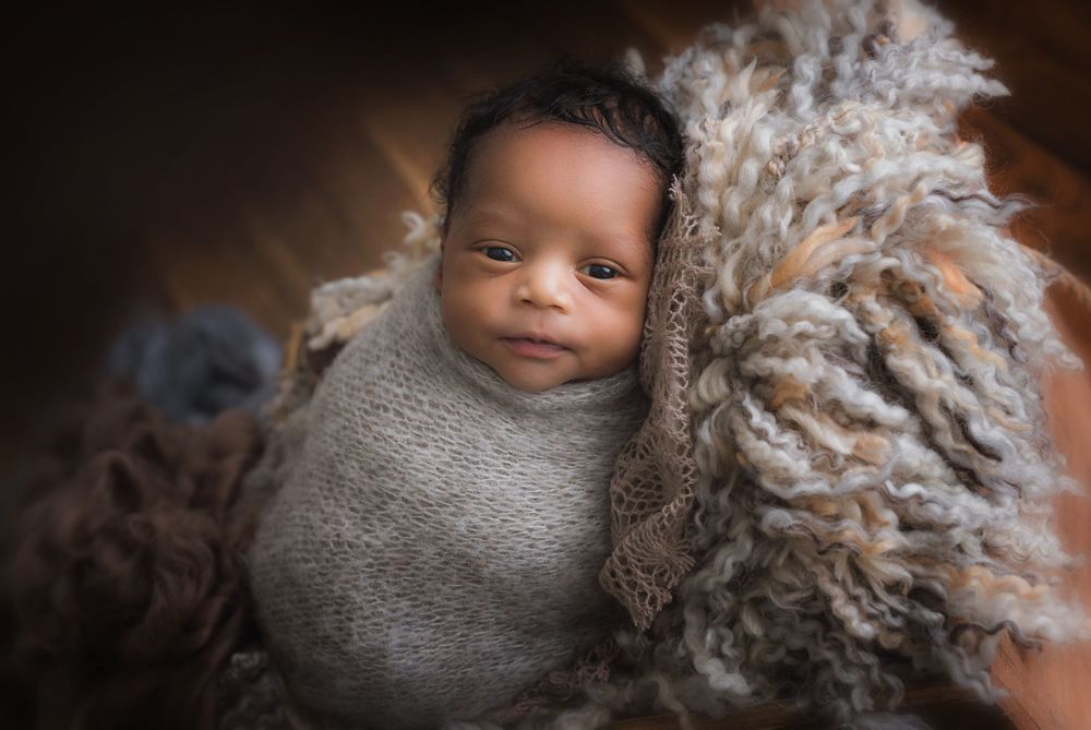 Newborn brown and neutral colours theme